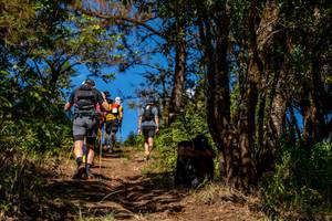 BIB: 
                            <button type="button" onclick="openModal(19375124)" class="btn btn-primary btn-sm float-right btn-popup" data-toggle="modal" data-target=".modal-high-quality">
                        <i class="fas fa-shopping-cart"></i> Add to Cart
                    </button>
                                            <button type="button" onclick="isThisMe(19375124, true)" class="btn btn-success btn-sm float-right btn-popup btn-isme hidden" data-toggle="tooltip" data-placement="bottom" title="นี่คือรูปของคุณใช่ไหม คลิกที่นี่เพื่อเอาเข้าอัลบั้ม">
                        <i class="fas fa-plus"></i> Add to album
                    </button>
                    <button type="button" onclick="isThisMe(19375124, false)" class="btn btn-warning btn-sm float-right btn-popup btn-isnotme hidden">
                        <i class="fas fa-ban"></i> Remove from album
                    </button>