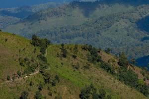 BIB: 
                            <button type="button" onclick="openModal(19375112)" class="btn btn-primary btn-sm float-right btn-popup" data-toggle="modal" data-target=".modal-high-quality">
                        <i class="fas fa-shopping-cart"></i> Add to Cart
                    </button>
                                            <button type="button" onclick="isThisMe(19375112, true)" class="btn btn-success btn-sm float-right btn-popup btn-isme hidden" data-toggle="tooltip" data-placement="bottom" title="นี่คือรูปของคุณใช่ไหม คลิกที่นี่เพื่อเอาเข้าอัลบั้ม">
                        <i class="fas fa-plus"></i> Add to album
                    </button>
                    <button type="button" onclick="isThisMe(19375112, false)" class="btn btn-warning btn-sm float-right btn-popup btn-isnotme hidden">
                        <i class="fas fa-ban"></i> Remove from album
                    </button>