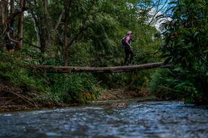 BIB: 
                            <button type="button" onclick="openModal(19375227)" class="btn btn-primary btn-sm float-right btn-popup" data-toggle="modal" data-target=".modal-high-quality">
                        <i class="fas fa-shopping-cart"></i> Add to Cart
                    </button>
                                            <button type="button" onclick="isThisMe(19375227, true)" class="btn btn-success btn-sm float-right btn-popup btn-isme hidden" data-toggle="tooltip" data-placement="bottom" title="นี่คือรูปของคุณใช่ไหม คลิกที่นี่เพื่อเอาเข้าอัลบั้ม">
                        <i class="fas fa-plus"></i> Add to album
                    </button>
                    <button type="button" onclick="isThisMe(19375227, false)" class="btn btn-warning btn-sm float-right btn-popup btn-isnotme hidden">
                        <i class="fas fa-ban"></i> Remove from album
                    </button>