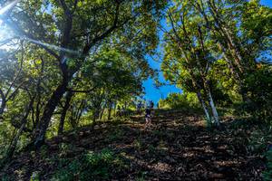 BIB: 
                            <button type="button" onclick="openModal(19375783)" class="btn btn-primary btn-sm float-right btn-popup" data-toggle="modal" data-target=".modal-high-quality">
                        <i class="fas fa-shopping-cart"></i> Add to Cart
                    </button>
                                            <button type="button" onclick="isThisMe(19375783, true)" class="btn btn-success btn-sm float-right btn-popup btn-isme hidden" data-toggle="tooltip" data-placement="bottom" title="นี่คือรูปของคุณใช่ไหม คลิกที่นี่เพื่อเอาเข้าอัลบั้ม">
                        <i class="fas fa-plus"></i> Add to album
                    </button>
                    <button type="button" onclick="isThisMe(19375783, false)" class="btn btn-warning btn-sm float-right btn-popup btn-isnotme hidden">
                        <i class="fas fa-ban"></i> Remove from album
                    </button>