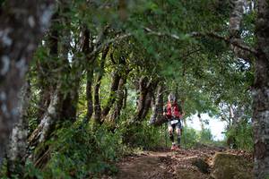 BIB: 
                            <button type="button" onclick="openModal(19375165)" class="btn btn-primary btn-sm float-right btn-popup" data-toggle="modal" data-target=".modal-high-quality">
                        <i class="fas fa-shopping-cart"></i> Add to Cart
                    </button>
                                            <button type="button" onclick="isThisMe(19375165, true)" class="btn btn-success btn-sm float-right btn-popup btn-isme hidden" data-toggle="tooltip" data-placement="bottom" title="นี่คือรูปของคุณใช่ไหม คลิกที่นี่เพื่อเอาเข้าอัลบั้ม">
                        <i class="fas fa-plus"></i> Add to album
                    </button>
                    <button type="button" onclick="isThisMe(19375165, false)" class="btn btn-warning btn-sm float-right btn-popup btn-isnotme hidden">
                        <i class="fas fa-ban"></i> Remove from album
                    </button>