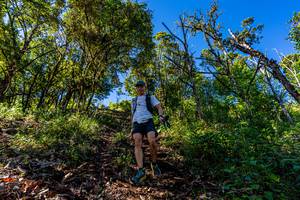 BIB: 
                            <button type="button" onclick="openModal(19375769)" class="btn btn-primary btn-sm float-right btn-popup" data-toggle="modal" data-target=".modal-high-quality">
                        <i class="fas fa-shopping-cart"></i> Add to Cart
                    </button>
                                            <button type="button" onclick="isThisMe(19375769, true)" class="btn btn-success btn-sm float-right btn-popup btn-isme hidden" data-toggle="tooltip" data-placement="bottom" title="นี่คือรูปของคุณใช่ไหม คลิกที่นี่เพื่อเอาเข้าอัลบั้ม">
                        <i class="fas fa-plus"></i> Add to album
                    </button>
                    <button type="button" onclick="isThisMe(19375769, false)" class="btn btn-warning btn-sm float-right btn-popup btn-isnotme hidden">
                        <i class="fas fa-ban"></i> Remove from album
                    </button>