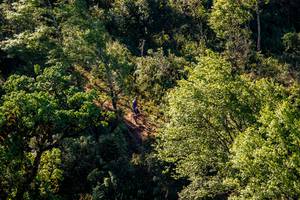 BIB: 
                            <button type="button" onclick="openModal(19374833)" class="btn btn-primary btn-sm float-right btn-popup" data-toggle="modal" data-target=".modal-high-quality">
                        <i class="fas fa-shopping-cart"></i> Add to Cart
                    </button>
                                            <button type="button" onclick="isThisMe(19374833, true)" class="btn btn-success btn-sm float-right btn-popup btn-isme hidden" data-toggle="tooltip" data-placement="bottom" title="นี่คือรูปของคุณใช่ไหม คลิกที่นี่เพื่อเอาเข้าอัลบั้ม">
                        <i class="fas fa-plus"></i> Add to album
                    </button>
                    <button type="button" onclick="isThisMe(19374833, false)" class="btn btn-warning btn-sm float-right btn-popup btn-isnotme hidden">
                        <i class="fas fa-ban"></i> Remove from album
                    </button>