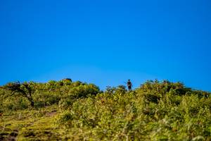 BIB: 
                            <button type="button" onclick="openModal(19374729)" class="btn btn-primary btn-sm float-right btn-popup" data-toggle="modal" data-target=".modal-high-quality">
                        <i class="fas fa-shopping-cart"></i> Add to Cart
                    </button>
                                            <button type="button" onclick="isThisMe(19374729, true)" class="btn btn-success btn-sm float-right btn-popup btn-isme hidden" data-toggle="tooltip" data-placement="bottom" title="นี่คือรูปของคุณใช่ไหม คลิกที่นี่เพื่อเอาเข้าอัลบั้ม">
                        <i class="fas fa-plus"></i> Add to album
                    </button>
                    <button type="button" onclick="isThisMe(19374729, false)" class="btn btn-warning btn-sm float-right btn-popup btn-isnotme hidden">
                        <i class="fas fa-ban"></i> Remove from album
                    </button>