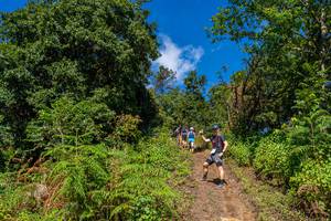 BIB: 
                            <button type="button" onclick="openModal(19375919)" class="btn btn-primary btn-sm float-right btn-popup" data-toggle="modal" data-target=".modal-high-quality">
                        <i class="fas fa-shopping-cart"></i> Add to Cart
                    </button>
                                            <button type="button" onclick="isThisMe(19375919, true)" class="btn btn-success btn-sm float-right btn-popup btn-isme hidden" data-toggle="tooltip" data-placement="bottom" title="นี่คือรูปของคุณใช่ไหม คลิกที่นี่เพื่อเอาเข้าอัลบั้ม">
                        <i class="fas fa-plus"></i> Add to album
                    </button>
                    <button type="button" onclick="isThisMe(19375919, false)" class="btn btn-warning btn-sm float-right btn-popup btn-isnotme hidden">
                        <i class="fas fa-ban"></i> Remove from album
                    </button>