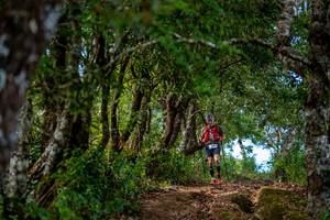 BIB: 
                            <button type="button" onclick="openModal(19375164)" class="btn btn-primary btn-sm float-right btn-popup" data-toggle="modal" data-target=".modal-high-quality">
                        <i class="fas fa-shopping-cart"></i> Add to Cart
                    </button>
                                            <button type="button" onclick="isThisMe(19375164, true)" class="btn btn-success btn-sm float-right btn-popup btn-isme hidden" data-toggle="tooltip" data-placement="bottom" title="นี่คือรูปของคุณใช่ไหม คลิกที่นี่เพื่อเอาเข้าอัลบั้ม">
                        <i class="fas fa-plus"></i> Add to album
                    </button>
                    <button type="button" onclick="isThisMe(19375164, false)" class="btn btn-warning btn-sm float-right btn-popup btn-isnotme hidden">
                        <i class="fas fa-ban"></i> Remove from album
                    </button>