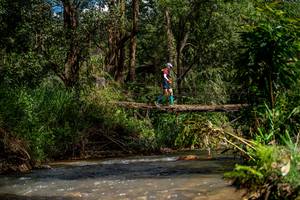 BIB: 
                            <button type="button" onclick="openModal(19375213)" class="btn btn-primary btn-sm float-right btn-popup" data-toggle="modal" data-target=".modal-high-quality">
                        <i class="fas fa-shopping-cart"></i> Add to Cart
                    </button>
                                            <button type="button" onclick="isThisMe(19375213, true)" class="btn btn-success btn-sm float-right btn-popup btn-isme hidden" data-toggle="tooltip" data-placement="bottom" title="นี่คือรูปของคุณใช่ไหม คลิกที่นี่เพื่อเอาเข้าอัลบั้ม">
                        <i class="fas fa-plus"></i> Add to album
                    </button>
                    <button type="button" onclick="isThisMe(19375213, false)" class="btn btn-warning btn-sm float-right btn-popup btn-isnotme hidden">
                        <i class="fas fa-ban"></i> Remove from album
                    </button>