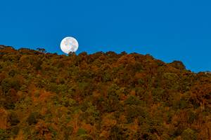 BIB: 
                            <button type="button" onclick="openModal(19374595)" class="btn btn-primary btn-sm float-right btn-popup" data-toggle="modal" data-target=".modal-high-quality">
                        <i class="fas fa-shopping-cart"></i> Add to Cart
                    </button>
                                            <button type="button" onclick="isThisMe(19374595, true)" class="btn btn-success btn-sm float-right btn-popup btn-isme hidden" data-toggle="tooltip" data-placement="bottom" title="นี่คือรูปของคุณใช่ไหม คลิกที่นี่เพื่อเอาเข้าอัลบั้ม">
                        <i class="fas fa-plus"></i> Add to album
                    </button>
                    <button type="button" onclick="isThisMe(19374595, false)" class="btn btn-warning btn-sm float-right btn-popup btn-isnotme hidden">
                        <i class="fas fa-ban"></i> Remove from album
                    </button>