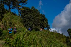 BIB: 
                            <button type="button" onclick="openModal(19375146)" class="btn btn-primary btn-sm float-right btn-popup" data-toggle="modal" data-target=".modal-high-quality">
                        <i class="fas fa-shopping-cart"></i> Add to Cart
                    </button>
                                            <button type="button" onclick="isThisMe(19375146, true)" class="btn btn-success btn-sm float-right btn-popup btn-isme hidden" data-toggle="tooltip" data-placement="bottom" title="นี่คือรูปของคุณใช่ไหม คลิกที่นี่เพื่อเอาเข้าอัลบั้ม">
                        <i class="fas fa-plus"></i> Add to album
                    </button>
                    <button type="button" onclick="isThisMe(19375146, false)" class="btn btn-warning btn-sm float-right btn-popup btn-isnotme hidden">
                        <i class="fas fa-ban"></i> Remove from album
                    </button>