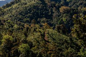 BIB: 
                            <button type="button" onclick="openModal(19374813)" class="btn btn-primary btn-sm float-right btn-popup" data-toggle="modal" data-target=".modal-high-quality">
                        <i class="fas fa-shopping-cart"></i> Add to Cart
                    </button>
                                            <button type="button" onclick="isThisMe(19374813, true)" class="btn btn-success btn-sm float-right btn-popup btn-isme hidden" data-toggle="tooltip" data-placement="bottom" title="นี่คือรูปของคุณใช่ไหม คลิกที่นี่เพื่อเอาเข้าอัลบั้ม">
                        <i class="fas fa-plus"></i> Add to album
                    </button>
                    <button type="button" onclick="isThisMe(19374813, false)" class="btn btn-warning btn-sm float-right btn-popup btn-isnotme hidden">
                        <i class="fas fa-ban"></i> Remove from album
                    </button>