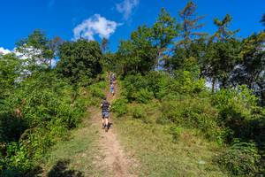 BIB: 
                            <button type="button" onclick="openModal(19375917)" class="btn btn-primary btn-sm float-right btn-popup" data-toggle="modal" data-target=".modal-high-quality">
                        <i class="fas fa-shopping-cart"></i> Add to Cart
                    </button>
                                            <button type="button" onclick="isThisMe(19375917, true)" class="btn btn-success btn-sm float-right btn-popup btn-isme hidden" data-toggle="tooltip" data-placement="bottom" title="นี่คือรูปของคุณใช่ไหม คลิกที่นี่เพื่อเอาเข้าอัลบั้ม">
                        <i class="fas fa-plus"></i> Add to album
                    </button>
                    <button type="button" onclick="isThisMe(19375917, false)" class="btn btn-warning btn-sm float-right btn-popup btn-isnotme hidden">
                        <i class="fas fa-ban"></i> Remove from album
                    </button>