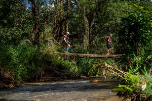 BIB: 
                            <button type="button" onclick="openModal(19375212)" class="btn btn-primary btn-sm float-right btn-popup" data-toggle="modal" data-target=".modal-high-quality">
                        <i class="fas fa-shopping-cart"></i> Add to Cart
                    </button>
                                            <button type="button" onclick="isThisMe(19375212, true)" class="btn btn-success btn-sm float-right btn-popup btn-isme hidden" data-toggle="tooltip" data-placement="bottom" title="นี่คือรูปของคุณใช่ไหม คลิกที่นี่เพื่อเอาเข้าอัลบั้ม">
                        <i class="fas fa-plus"></i> Add to album
                    </button>
                    <button type="button" onclick="isThisMe(19375212, false)" class="btn btn-warning btn-sm float-right btn-popup btn-isnotme hidden">
                        <i class="fas fa-ban"></i> Remove from album
                    </button>