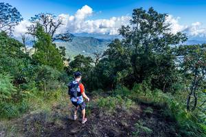 BIB: 
                            <button type="button" onclick="openModal(19375819)" class="btn btn-primary btn-sm float-right btn-popup" data-toggle="modal" data-target=".modal-high-quality">
                        <i class="fas fa-shopping-cart"></i> Add to Cart
                    </button>
                                            <button type="button" onclick="isThisMe(19375819, true)" class="btn btn-success btn-sm float-right btn-popup btn-isme hidden" data-toggle="tooltip" data-placement="bottom" title="นี่คือรูปของคุณใช่ไหม คลิกที่นี่เพื่อเอาเข้าอัลบั้ม">
                        <i class="fas fa-plus"></i> Add to album
                    </button>
                    <button type="button" onclick="isThisMe(19375819, false)" class="btn btn-warning btn-sm float-right btn-popup btn-isnotme hidden">
                        <i class="fas fa-ban"></i> Remove from album
                    </button>