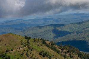 BIB: 4294
                            <button type="button" onclick="openModal(19375110)" class="btn btn-primary btn-sm float-right btn-popup" data-toggle="modal" data-target=".modal-high-quality">
                        <i class="fas fa-shopping-cart"></i> Add to Cart
                    </button>
                                            <button type="button" onclick="isThisMe(19375110, true)" class="btn btn-success btn-sm float-right btn-popup btn-isme hidden" data-toggle="tooltip" data-placement="bottom" title="นี่คือรูปของคุณใช่ไหม คลิกที่นี่เพื่อเอาเข้าอัลบั้ม">
                        <i class="fas fa-plus"></i> Add to album
                    </button>
                    <button type="button" onclick="isThisMe(19375110, false)" class="btn btn-warning btn-sm float-right btn-popup btn-isnotme hidden">
                        <i class="fas fa-ban"></i> Remove from album
                    </button>