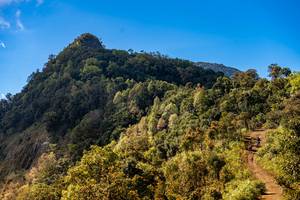 BIB: 
                            <button type="button" onclick="openModal(19374981)" class="btn btn-primary btn-sm float-right btn-popup" data-toggle="modal" data-target=".modal-high-quality">
                        <i class="fas fa-shopping-cart"></i> Add to Cart
                    </button>
                                            <button type="button" onclick="isThisMe(19374981, true)" class="btn btn-success btn-sm float-right btn-popup btn-isme hidden" data-toggle="tooltip" data-placement="bottom" title="นี่คือรูปของคุณใช่ไหม คลิกที่นี่เพื่อเอาเข้าอัลบั้ม">
                        <i class="fas fa-plus"></i> Add to album
                    </button>
                    <button type="button" onclick="isThisMe(19374981, false)" class="btn btn-warning btn-sm float-right btn-popup btn-isnotme hidden">
                        <i class="fas fa-ban"></i> Remove from album
                    </button>