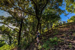 BIB: 
                            <button type="button" onclick="openModal(19375793)" class="btn btn-primary btn-sm float-right btn-popup" data-toggle="modal" data-target=".modal-high-quality">
                        <i class="fas fa-shopping-cart"></i> Add to Cart
                    </button>
                                            <button type="button" onclick="isThisMe(19375793, true)" class="btn btn-success btn-sm float-right btn-popup btn-isme hidden" data-toggle="tooltip" data-placement="bottom" title="นี่คือรูปของคุณใช่ไหม คลิกที่นี่เพื่อเอาเข้าอัลบั้ม">
                        <i class="fas fa-plus"></i> Add to album
                    </button>
                    <button type="button" onclick="isThisMe(19375793, false)" class="btn btn-warning btn-sm float-right btn-popup btn-isnotme hidden">
                        <i class="fas fa-ban"></i> Remove from album
                    </button>