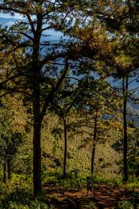 BIB: 
                            <button type="button" onclick="openModal(19374699)" class="btn btn-primary btn-sm float-right btn-popup" data-toggle="modal" data-target=".modal-high-quality">
                        <i class="fas fa-shopping-cart"></i> Add to Cart
                    </button>
                                            <button type="button" onclick="isThisMe(19374699, true)" class="btn btn-success btn-sm float-right btn-popup btn-isme hidden" data-toggle="tooltip" data-placement="bottom" title="นี่คือรูปของคุณใช่ไหม คลิกที่นี่เพื่อเอาเข้าอัลบั้ม">
                        <i class="fas fa-plus"></i> Add to album
                    </button>
                    <button type="button" onclick="isThisMe(19374699, false)" class="btn btn-warning btn-sm float-right btn-popup btn-isnotme hidden">
                        <i class="fas fa-ban"></i> Remove from album
                    </button>