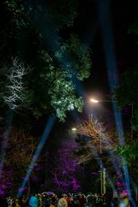 BIB: 
                            <button type="button" onclick="openModal(19374547)" class="btn btn-primary btn-sm float-right btn-popup" data-toggle="modal" data-target=".modal-high-quality">
                        <i class="fas fa-shopping-cart"></i> Add to Cart
                    </button>
                                            <button type="button" onclick="isThisMe(19374547, true)" class="btn btn-success btn-sm float-right btn-popup btn-isme hidden" data-toggle="tooltip" data-placement="bottom" title="นี่คือรูปของคุณใช่ไหม คลิกที่นี่เพื่อเอาเข้าอัลบั้ม">
                        <i class="fas fa-plus"></i> Add to album
                    </button>
                    <button type="button" onclick="isThisMe(19374547, false)" class="btn btn-warning btn-sm float-right btn-popup btn-isnotme hidden">
                        <i class="fas fa-ban"></i> Remove from album
                    </button>