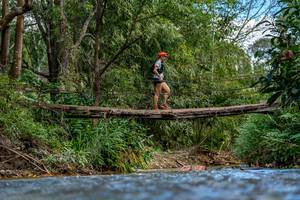 BIB: 
                            <button type="button" onclick="openModal(19375272)" class="btn btn-primary btn-sm float-right btn-popup" data-toggle="modal" data-target=".modal-high-quality">
                        <i class="fas fa-shopping-cart"></i> Add to Cart
                    </button>
                                            <button type="button" onclick="isThisMe(19375272, true)" class="btn btn-success btn-sm float-right btn-popup btn-isme hidden" data-toggle="tooltip" data-placement="bottom" title="นี่คือรูปของคุณใช่ไหม คลิกที่นี่เพื่อเอาเข้าอัลบั้ม">
                        <i class="fas fa-plus"></i> Add to album
                    </button>
                    <button type="button" onclick="isThisMe(19375272, false)" class="btn btn-warning btn-sm float-right btn-popup btn-isnotme hidden">
                        <i class="fas fa-ban"></i> Remove from album
                    </button>