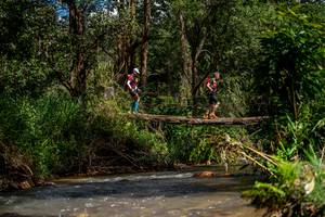 BIB: 
                            <button type="button" onclick="openModal(19375211)" class="btn btn-primary btn-sm float-right btn-popup" data-toggle="modal" data-target=".modal-high-quality">
                        <i class="fas fa-shopping-cart"></i> Add to Cart
                    </button>
                                            <button type="button" onclick="isThisMe(19375211, true)" class="btn btn-success btn-sm float-right btn-popup btn-isme hidden" data-toggle="tooltip" data-placement="bottom" title="นี่คือรูปของคุณใช่ไหม คลิกที่นี่เพื่อเอาเข้าอัลบั้ม">
                        <i class="fas fa-plus"></i> Add to album
                    </button>
                    <button type="button" onclick="isThisMe(19375211, false)" class="btn btn-warning btn-sm float-right btn-popup btn-isnotme hidden">
                        <i class="fas fa-ban"></i> Remove from album
                    </button>