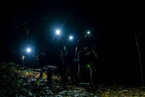 BIB: 
                            <button type="button" onclick="openModal(19375592)" class="btn btn-primary btn-sm float-right btn-popup" data-toggle="modal" data-target=".modal-high-quality">
                        <i class="fas fa-shopping-cart"></i> Add to Cart
                    </button>
                                            <button type="button" onclick="isThisMe(19375592, true)" class="btn btn-success btn-sm float-right btn-popup btn-isme hidden" data-toggle="tooltip" data-placement="bottom" title="นี่คือรูปของคุณใช่ไหม คลิกที่นี่เพื่อเอาเข้าอัลบั้ม">
                        <i class="fas fa-plus"></i> Add to album
                    </button>
                    <button type="button" onclick="isThisMe(19375592, false)" class="btn btn-warning btn-sm float-right btn-popup btn-isnotme hidden">
                        <i class="fas fa-ban"></i> Remove from album
                    </button>