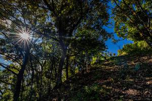 BIB: 
                            <button type="button" onclick="openModal(19375794)" class="btn btn-primary btn-sm float-right btn-popup" data-toggle="modal" data-target=".modal-high-quality">
                        <i class="fas fa-shopping-cart"></i> Add to Cart
                    </button>
                                            <button type="button" onclick="isThisMe(19375794, true)" class="btn btn-success btn-sm float-right btn-popup btn-isme hidden" data-toggle="tooltip" data-placement="bottom" title="นี่คือรูปของคุณใช่ไหม คลิกที่นี่เพื่อเอาเข้าอัลบั้ม">
                        <i class="fas fa-plus"></i> Add to album
                    </button>
                    <button type="button" onclick="isThisMe(19375794, false)" class="btn btn-warning btn-sm float-right btn-popup btn-isnotme hidden">
                        <i class="fas fa-ban"></i> Remove from album
                    </button>