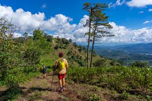 BIB: 
                            <button type="button" onclick="openModal(19375964)" class="btn btn-primary btn-sm float-right btn-popup" data-toggle="modal" data-target=".modal-high-quality">
                        <i class="fas fa-shopping-cart"></i> Add to Cart
                    </button>
                                            <button type="button" onclick="isThisMe(19375964, true)" class="btn btn-success btn-sm float-right btn-popup btn-isme hidden" data-toggle="tooltip" data-placement="bottom" title="นี่คือรูปของคุณใช่ไหม คลิกที่นี่เพื่อเอาเข้าอัลบั้ม">
                        <i class="fas fa-plus"></i> Add to album
                    </button>
                    <button type="button" onclick="isThisMe(19375964, false)" class="btn btn-warning btn-sm float-right btn-popup btn-isnotme hidden">
                        <i class="fas fa-ban"></i> Remove from album
                    </button>