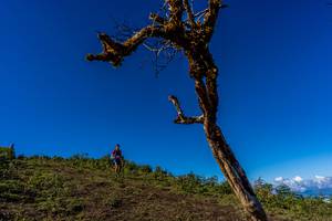 BIB: 
                            <button type="button" onclick="openModal(19375683)" class="btn btn-primary btn-sm float-right btn-popup" data-toggle="modal" data-target=".modal-high-quality">
                        <i class="fas fa-shopping-cart"></i> Add to Cart
                    </button>
                                            <button type="button" onclick="isThisMe(19375683, true)" class="btn btn-success btn-sm float-right btn-popup btn-isme hidden" data-toggle="tooltip" data-placement="bottom" title="นี่คือรูปของคุณใช่ไหม คลิกที่นี่เพื่อเอาเข้าอัลบั้ม">
                        <i class="fas fa-plus"></i> Add to album
                    </button>
                    <button type="button" onclick="isThisMe(19375683, false)" class="btn btn-warning btn-sm float-right btn-popup btn-isnotme hidden">
                        <i class="fas fa-ban"></i> Remove from album
                    </button>