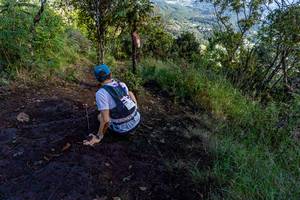 BIB: 
                            <button type="button" onclick="openModal(19375851)" class="btn btn-primary btn-sm float-right btn-popup" data-toggle="modal" data-target=".modal-high-quality">
                        <i class="fas fa-shopping-cart"></i> Add to Cart
                    </button>
                                            <button type="button" onclick="isThisMe(19375851, true)" class="btn btn-success btn-sm float-right btn-popup btn-isme hidden" data-toggle="tooltip" data-placement="bottom" title="นี่คือรูปของคุณใช่ไหม คลิกที่นี่เพื่อเอาเข้าอัลบั้ม">
                        <i class="fas fa-plus"></i> Add to album
                    </button>
                    <button type="button" onclick="isThisMe(19375851, false)" class="btn btn-warning btn-sm float-right btn-popup btn-isnotme hidden">
                        <i class="fas fa-ban"></i> Remove from album
                    </button>