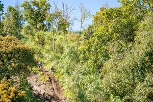 BIB: 
                            <button type="button" onclick="openModal(19375007)" class="btn btn-primary btn-sm float-right btn-popup" data-toggle="modal" data-target=".modal-high-quality">
                        <i class="fas fa-shopping-cart"></i> Add to Cart
                    </button>
                                            <button type="button" onclick="isThisMe(19375007, true)" class="btn btn-success btn-sm float-right btn-popup btn-isme hidden" data-toggle="tooltip" data-placement="bottom" title="นี่คือรูปของคุณใช่ไหม คลิกที่นี่เพื่อเอาเข้าอัลบั้ม">
                        <i class="fas fa-plus"></i> Add to album
                    </button>
                    <button type="button" onclick="isThisMe(19375007, false)" class="btn btn-warning btn-sm float-right btn-popup btn-isnotme hidden">
                        <i class="fas fa-ban"></i> Remove from album
                    </button>