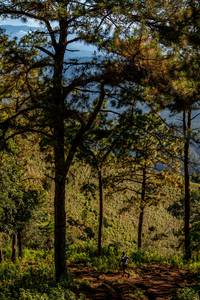 BIB: 
                            <button type="button" onclick="openModal(19374701)" class="btn btn-primary btn-sm float-right btn-popup" data-toggle="modal" data-target=".modal-high-quality">
                        <i class="fas fa-shopping-cart"></i> Add to Cart
                    </button>
                                            <button type="button" onclick="isThisMe(19374701, true)" class="btn btn-success btn-sm float-right btn-popup btn-isme hidden" data-toggle="tooltip" data-placement="bottom" title="นี่คือรูปของคุณใช่ไหม คลิกที่นี่เพื่อเอาเข้าอัลบั้ม">
                        <i class="fas fa-plus"></i> Add to album
                    </button>
                    <button type="button" onclick="isThisMe(19374701, false)" class="btn btn-warning btn-sm float-right btn-popup btn-isnotme hidden">
                        <i class="fas fa-ban"></i> Remove from album
                    </button>