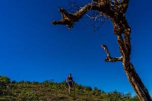 BIB: 
                            <button type="button" onclick="openModal(19375679)" class="btn btn-primary btn-sm float-right btn-popup" data-toggle="modal" data-target=".modal-high-quality">
                        <i class="fas fa-shopping-cart"></i> Add to Cart
                    </button>
                                            <button type="button" onclick="isThisMe(19375679, true)" class="btn btn-success btn-sm float-right btn-popup btn-isme hidden" data-toggle="tooltip" data-placement="bottom" title="นี่คือรูปของคุณใช่ไหม คลิกที่นี่เพื่อเอาเข้าอัลบั้ม">
                        <i class="fas fa-plus"></i> Add to album
                    </button>
                    <button type="button" onclick="isThisMe(19375679, false)" class="btn btn-warning btn-sm float-right btn-popup btn-isnotme hidden">
                        <i class="fas fa-ban"></i> Remove from album
                    </button>