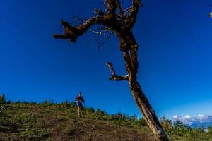 BIB: 
                            <button type="button" onclick="openModal(19375685)" class="btn btn-primary btn-sm float-right btn-popup" data-toggle="modal" data-target=".modal-high-quality">
                        <i class="fas fa-shopping-cart"></i> Add to Cart
                    </button>
                                            <button type="button" onclick="isThisMe(19375685, true)" class="btn btn-success btn-sm float-right btn-popup btn-isme hidden" data-toggle="tooltip" data-placement="bottom" title="นี่คือรูปของคุณใช่ไหม คลิกที่นี่เพื่อเอาเข้าอัลบั้ม">
                        <i class="fas fa-plus"></i> Add to album
                    </button>
                    <button type="button" onclick="isThisMe(19375685, false)" class="btn btn-warning btn-sm float-right btn-popup btn-isnotme hidden">
                        <i class="fas fa-ban"></i> Remove from album
                    </button>