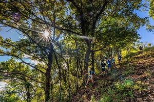 BIB: 
                            <button type="button" onclick="openModal(19375803)" class="btn btn-primary btn-sm float-right btn-popup" data-toggle="modal" data-target=".modal-high-quality">
                        <i class="fas fa-shopping-cart"></i> Add to Cart
                    </button>
                                            <button type="button" onclick="isThisMe(19375803, true)" class="btn btn-success btn-sm float-right btn-popup btn-isme hidden" data-toggle="tooltip" data-placement="bottom" title="นี่คือรูปของคุณใช่ไหม คลิกที่นี่เพื่อเอาเข้าอัลบั้ม">
                        <i class="fas fa-plus"></i> Add to album
                    </button>
                    <button type="button" onclick="isThisMe(19375803, false)" class="btn btn-warning btn-sm float-right btn-popup btn-isnotme hidden">
                        <i class="fas fa-ban"></i> Remove from album
                    </button>