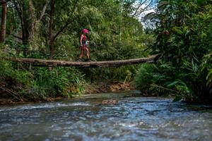 BIB: 
                            <button type="button" onclick="openModal(19375240)" class="btn btn-primary btn-sm float-right btn-popup" data-toggle="modal" data-target=".modal-high-quality">
                        <i class="fas fa-shopping-cart"></i> Add to Cart
                    </button>
                                            <button type="button" onclick="isThisMe(19375240, true)" class="btn btn-success btn-sm float-right btn-popup btn-isme hidden" data-toggle="tooltip" data-placement="bottom" title="นี่คือรูปของคุณใช่ไหม คลิกที่นี่เพื่อเอาเข้าอัลบั้ม">
                        <i class="fas fa-plus"></i> Add to album
                    </button>
                    <button type="button" onclick="isThisMe(19375240, false)" class="btn btn-warning btn-sm float-right btn-popup btn-isnotme hidden">
                        <i class="fas fa-ban"></i> Remove from album
                    </button>