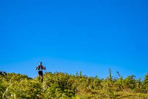 BIB: 
                            <button type="button" onclick="openModal(19374783)" class="btn btn-primary btn-sm float-right btn-popup" data-toggle="modal" data-target=".modal-high-quality">
                        <i class="fas fa-shopping-cart"></i> Add to Cart
                    </button>
                                            <button type="button" onclick="isThisMe(19374783, true)" class="btn btn-success btn-sm float-right btn-popup btn-isme hidden" data-toggle="tooltip" data-placement="bottom" title="นี่คือรูปของคุณใช่ไหม คลิกที่นี่เพื่อเอาเข้าอัลบั้ม">
                        <i class="fas fa-plus"></i> Add to album
                    </button>
                    <button type="button" onclick="isThisMe(19374783, false)" class="btn btn-warning btn-sm float-right btn-popup btn-isnotme hidden">
                        <i class="fas fa-ban"></i> Remove from album
                    </button>