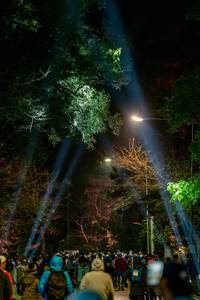 BIB: 
                            <button type="button" onclick="openModal(19374552)" class="btn btn-primary btn-sm float-right btn-popup" data-toggle="modal" data-target=".modal-high-quality">
                        <i class="fas fa-shopping-cart"></i> Add to Cart
                    </button>
                                            <button type="button" onclick="isThisMe(19374552, true)" class="btn btn-success btn-sm float-right btn-popup btn-isme hidden" data-toggle="tooltip" data-placement="bottom" title="นี่คือรูปของคุณใช่ไหม คลิกที่นี่เพื่อเอาเข้าอัลบั้ม">
                        <i class="fas fa-plus"></i> Add to album
                    </button>
                    <button type="button" onclick="isThisMe(19374552, false)" class="btn btn-warning btn-sm float-right btn-popup btn-isnotme hidden">
                        <i class="fas fa-ban"></i> Remove from album
                    </button>