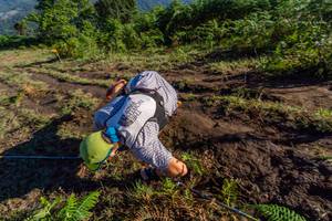 BIB: 
                            <button type="button" onclick="openModal(19375656)" class="btn btn-primary btn-sm float-right btn-popup" data-toggle="modal" data-target=".modal-high-quality">
                        <i class="fas fa-shopping-cart"></i> Add to Cart
                    </button>
                                            <button type="button" onclick="isThisMe(19375656, true)" class="btn btn-success btn-sm float-right btn-popup btn-isme hidden" data-toggle="tooltip" data-placement="bottom" title="นี่คือรูปของคุณใช่ไหม คลิกที่นี่เพื่อเอาเข้าอัลบั้ม">
                        <i class="fas fa-plus"></i> Add to album
                    </button>
                    <button type="button" onclick="isThisMe(19375656, false)" class="btn btn-warning btn-sm float-right btn-popup btn-isnotme hidden">
                        <i class="fas fa-ban"></i> Remove from album
                    </button>