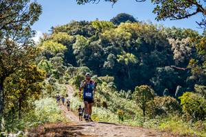 BIB: 
                            <button type="button" onclick="openModal(19375083)" class="btn btn-primary btn-sm float-right btn-popup" data-toggle="modal" data-target=".modal-high-quality">
                        <i class="fas fa-shopping-cart"></i> Add to Cart
                    </button>
                                            <button type="button" onclick="isThisMe(19375083, true)" class="btn btn-success btn-sm float-right btn-popup btn-isme hidden" data-toggle="tooltip" data-placement="bottom" title="นี่คือรูปของคุณใช่ไหม คลิกที่นี่เพื่อเอาเข้าอัลบั้ม">
                        <i class="fas fa-plus"></i> Add to album
                    </button>
                    <button type="button" onclick="isThisMe(19375083, false)" class="btn btn-warning btn-sm float-right btn-popup btn-isnotme hidden">
                        <i class="fas fa-ban"></i> Remove from album
                    </button>