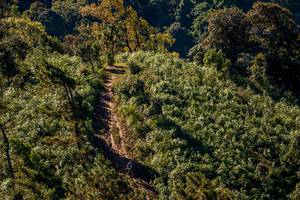 BIB: 
                            <button type="button" onclick="openModal(19374820)" class="btn btn-primary btn-sm float-right btn-popup" data-toggle="modal" data-target=".modal-high-quality">
                        <i class="fas fa-shopping-cart"></i> Add to Cart
                    </button>
                                            <button type="button" onclick="isThisMe(19374820, true)" class="btn btn-success btn-sm float-right btn-popup btn-isme hidden" data-toggle="tooltip" data-placement="bottom" title="นี่คือรูปของคุณใช่ไหม คลิกที่นี่เพื่อเอาเข้าอัลบั้ม">
                        <i class="fas fa-plus"></i> Add to album
                    </button>
                    <button type="button" onclick="isThisMe(19374820, false)" class="btn btn-warning btn-sm float-right btn-popup btn-isnotme hidden">
                        <i class="fas fa-ban"></i> Remove from album
                    </button>