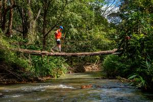 BIB: 
                            <button type="button" onclick="openModal(19375254)" class="btn btn-primary btn-sm float-right btn-popup" data-toggle="modal" data-target=".modal-high-quality">
                        <i class="fas fa-shopping-cart"></i> Add to Cart
                    </button>
                                            <button type="button" onclick="isThisMe(19375254, true)" class="btn btn-success btn-sm float-right btn-popup btn-isme hidden" data-toggle="tooltip" data-placement="bottom" title="นี่คือรูปของคุณใช่ไหม คลิกที่นี่เพื่อเอาเข้าอัลบั้ม">
                        <i class="fas fa-plus"></i> Add to album
                    </button>
                    <button type="button" onclick="isThisMe(19375254, false)" class="btn btn-warning btn-sm float-right btn-popup btn-isnotme hidden">
                        <i class="fas fa-ban"></i> Remove from album
                    </button>