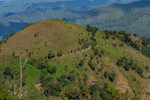 BIB: 
                            <button type="button" onclick="openModal(19375113)" class="btn btn-primary btn-sm float-right btn-popup" data-toggle="modal" data-target=".modal-high-quality">
                        <i class="fas fa-shopping-cart"></i> Add to Cart
                    </button>
                                            <button type="button" onclick="isThisMe(19375113, true)" class="btn btn-success btn-sm float-right btn-popup btn-isme hidden" data-toggle="tooltip" data-placement="bottom" title="นี่คือรูปของคุณใช่ไหม คลิกที่นี่เพื่อเอาเข้าอัลบั้ม">
                        <i class="fas fa-plus"></i> Add to album
                    </button>
                    <button type="button" onclick="isThisMe(19375113, false)" class="btn btn-warning btn-sm float-right btn-popup btn-isnotme hidden">
                        <i class="fas fa-ban"></i> Remove from album
                    </button>