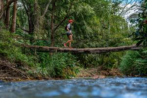 BIB: 
                            <button type="button" onclick="openModal(19375268)" class="btn btn-primary btn-sm float-right btn-popup" data-toggle="modal" data-target=".modal-high-quality">
                        <i class="fas fa-shopping-cart"></i> Add to Cart
                    </button>
                                            <button type="button" onclick="isThisMe(19375268, true)" class="btn btn-success btn-sm float-right btn-popup btn-isme hidden" data-toggle="tooltip" data-placement="bottom" title="นี่คือรูปของคุณใช่ไหม คลิกที่นี่เพื่อเอาเข้าอัลบั้ม">
                        <i class="fas fa-plus"></i> Add to album
                    </button>
                    <button type="button" onclick="isThisMe(19375268, false)" class="btn btn-warning btn-sm float-right btn-popup btn-isnotme hidden">
                        <i class="fas fa-ban"></i> Remove from album
                    </button>