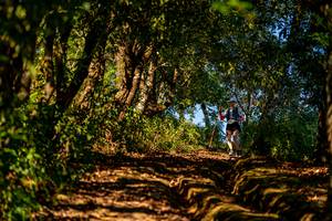 BIB: 
                            <button type="button" onclick="openModal(19374712)" class="btn btn-primary btn-sm float-right btn-popup" data-toggle="modal" data-target=".modal-high-quality">
                        <i class="fas fa-shopping-cart"></i> Add to Cart
                    </button>
                                            <button type="button" onclick="isThisMe(19374712, true)" class="btn btn-success btn-sm float-right btn-popup btn-isme hidden" data-toggle="tooltip" data-placement="bottom" title="นี่คือรูปของคุณใช่ไหม คลิกที่นี่เพื่อเอาเข้าอัลบั้ม">
                        <i class="fas fa-plus"></i> Add to album
                    </button>
                    <button type="button" onclick="isThisMe(19374712, false)" class="btn btn-warning btn-sm float-right btn-popup btn-isnotme hidden">
                        <i class="fas fa-ban"></i> Remove from album
                    </button>