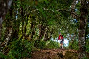 BIB: 
                            <button type="button" onclick="openModal(19375160)" class="btn btn-primary btn-sm float-right btn-popup" data-toggle="modal" data-target=".modal-high-quality">
                        <i class="fas fa-shopping-cart"></i> Add to Cart
                    </button>
                                            <button type="button" onclick="isThisMe(19375160, true)" class="btn btn-success btn-sm float-right btn-popup btn-isme hidden" data-toggle="tooltip" data-placement="bottom" title="นี่คือรูปของคุณใช่ไหม คลิกที่นี่เพื่อเอาเข้าอัลบั้ม">
                        <i class="fas fa-plus"></i> Add to album
                    </button>
                    <button type="button" onclick="isThisMe(19375160, false)" class="btn btn-warning btn-sm float-right btn-popup btn-isnotme hidden">
                        <i class="fas fa-ban"></i> Remove from album
                    </button>