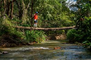 BIB: 
                            <button type="button" onclick="openModal(19375251)" class="btn btn-primary btn-sm float-right btn-popup" data-toggle="modal" data-target=".modal-high-quality">
                        <i class="fas fa-shopping-cart"></i> Add to Cart
                    </button>
                                            <button type="button" onclick="isThisMe(19375251, true)" class="btn btn-success btn-sm float-right btn-popup btn-isme hidden" data-toggle="tooltip" data-placement="bottom" title="นี่คือรูปของคุณใช่ไหม คลิกที่นี่เพื่อเอาเข้าอัลบั้ม">
                        <i class="fas fa-plus"></i> Add to album
                    </button>
                    <button type="button" onclick="isThisMe(19375251, false)" class="btn btn-warning btn-sm float-right btn-popup btn-isnotme hidden">
                        <i class="fas fa-ban"></i> Remove from album
                    </button>