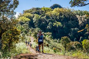 BIB: 
                            <button type="button" onclick="openModal(19375082)" class="btn btn-primary btn-sm float-right btn-popup" data-toggle="modal" data-target=".modal-high-quality">
                        <i class="fas fa-shopping-cart"></i> Add to Cart
                    </button>
                                            <button type="button" onclick="isThisMe(19375082, true)" class="btn btn-success btn-sm float-right btn-popup btn-isme hidden" data-toggle="tooltip" data-placement="bottom" title="นี่คือรูปของคุณใช่ไหม คลิกที่นี่เพื่อเอาเข้าอัลบั้ม">
                        <i class="fas fa-plus"></i> Add to album
                    </button>
                    <button type="button" onclick="isThisMe(19375082, false)" class="btn btn-warning btn-sm float-right btn-popup btn-isnotme hidden">
                        <i class="fas fa-ban"></i> Remove from album
                    </button>