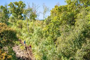 BIB: 
                            <button type="button" onclick="openModal(19375012)" class="btn btn-primary btn-sm float-right btn-popup" data-toggle="modal" data-target=".modal-high-quality">
                        <i class="fas fa-shopping-cart"></i> Add to Cart
                    </button>
                                            <button type="button" onclick="isThisMe(19375012, true)" class="btn btn-success btn-sm float-right btn-popup btn-isme hidden" data-toggle="tooltip" data-placement="bottom" title="นี่คือรูปของคุณใช่ไหม คลิกที่นี่เพื่อเอาเข้าอัลบั้ม">
                        <i class="fas fa-plus"></i> Add to album
                    </button>
                    <button type="button" onclick="isThisMe(19375012, false)" class="btn btn-warning btn-sm float-right btn-popup btn-isnotme hidden">
                        <i class="fas fa-ban"></i> Remove from album
                    </button>