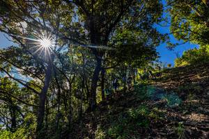 BIB: 
                            <button type="button" onclick="openModal(19375798)" class="btn btn-primary btn-sm float-right btn-popup" data-toggle="modal" data-target=".modal-high-quality">
                        <i class="fas fa-shopping-cart"></i> Add to Cart
                    </button>
                                            <button type="button" onclick="isThisMe(19375798, true)" class="btn btn-success btn-sm float-right btn-popup btn-isme hidden" data-toggle="tooltip" data-placement="bottom" title="นี่คือรูปของคุณใช่ไหม คลิกที่นี่เพื่อเอาเข้าอัลบั้ม">
                        <i class="fas fa-plus"></i> Add to album
                    </button>
                    <button type="button" onclick="isThisMe(19375798, false)" class="btn btn-warning btn-sm float-right btn-popup btn-isnotme hidden">
                        <i class="fas fa-ban"></i> Remove from album
                    </button>