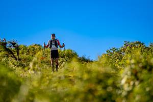 BIB: 
                            <button type="button" onclick="openModal(19374778)" class="btn btn-primary btn-sm float-right btn-popup" data-toggle="modal" data-target=".modal-high-quality">
                        <i class="fas fa-shopping-cart"></i> Add to Cart
                    </button>
                                            <button type="button" onclick="isThisMe(19374778, true)" class="btn btn-success btn-sm float-right btn-popup btn-isme hidden" data-toggle="tooltip" data-placement="bottom" title="นี่คือรูปของคุณใช่ไหม คลิกที่นี่เพื่อเอาเข้าอัลบั้ม">
                        <i class="fas fa-plus"></i> Add to album
                    </button>
                    <button type="button" onclick="isThisMe(19374778, false)" class="btn btn-warning btn-sm float-right btn-popup btn-isnotme hidden">
                        <i class="fas fa-ban"></i> Remove from album
                    </button>